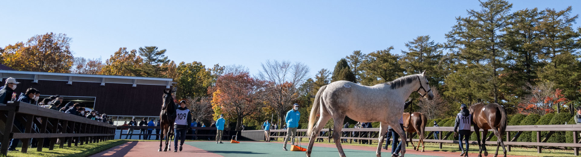 上場馬リスト